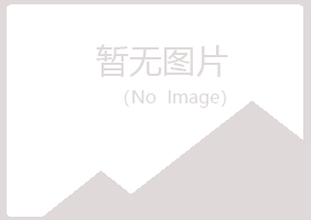 阳山县喧哗造纸有限公司